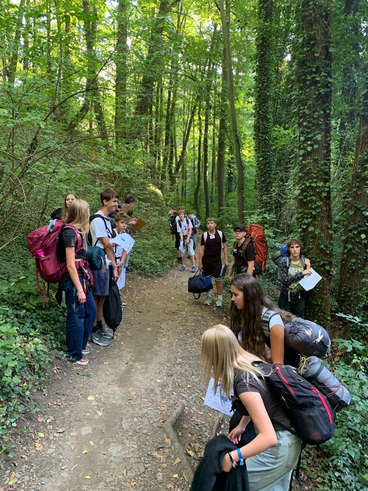 Students walking through a forest together on their introductory course