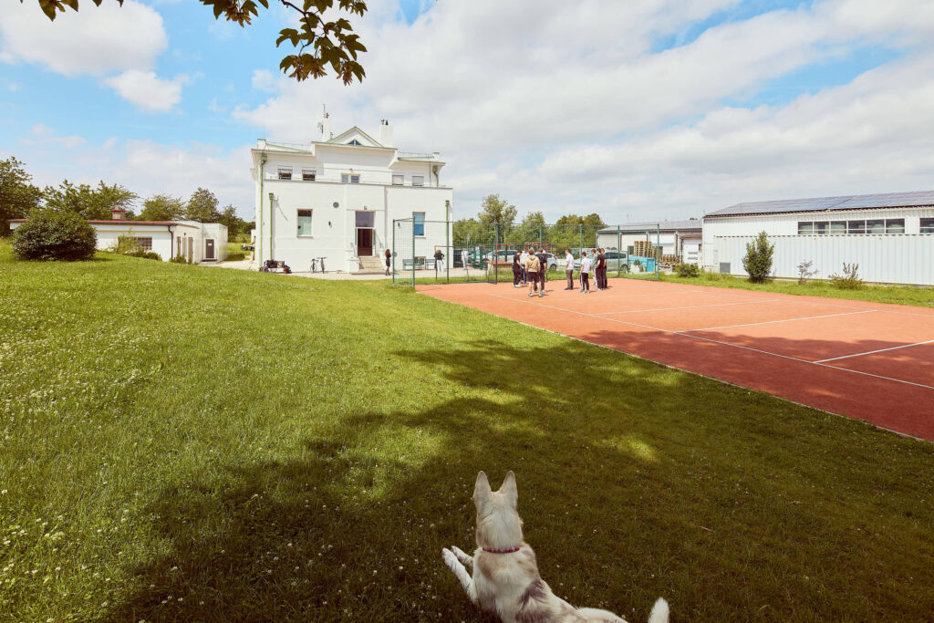 School spaces and grounds